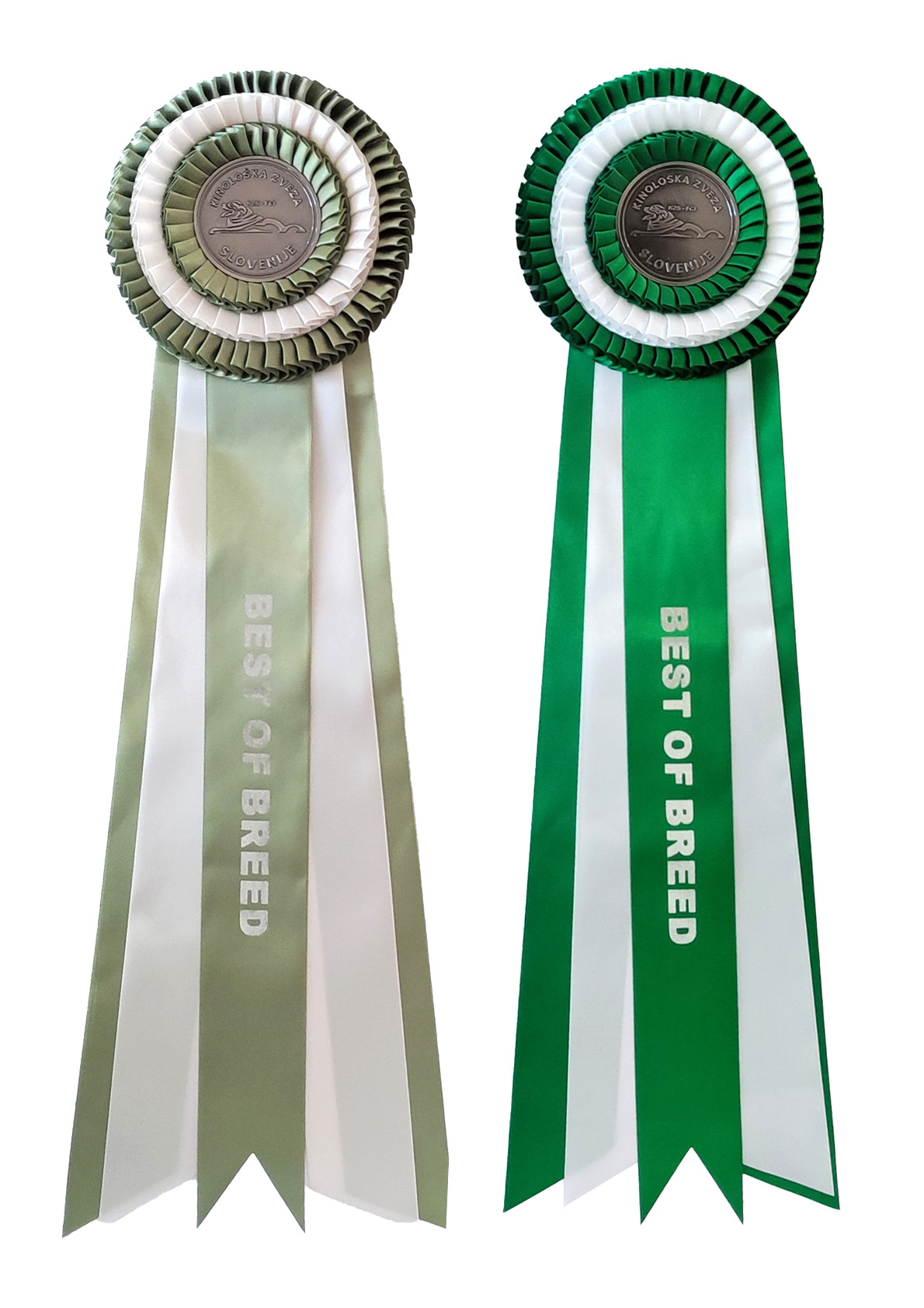 Bako-Spanischer-Wasserhund-10 Best of breed - BOB - Bako - Spansicher Wasserhund