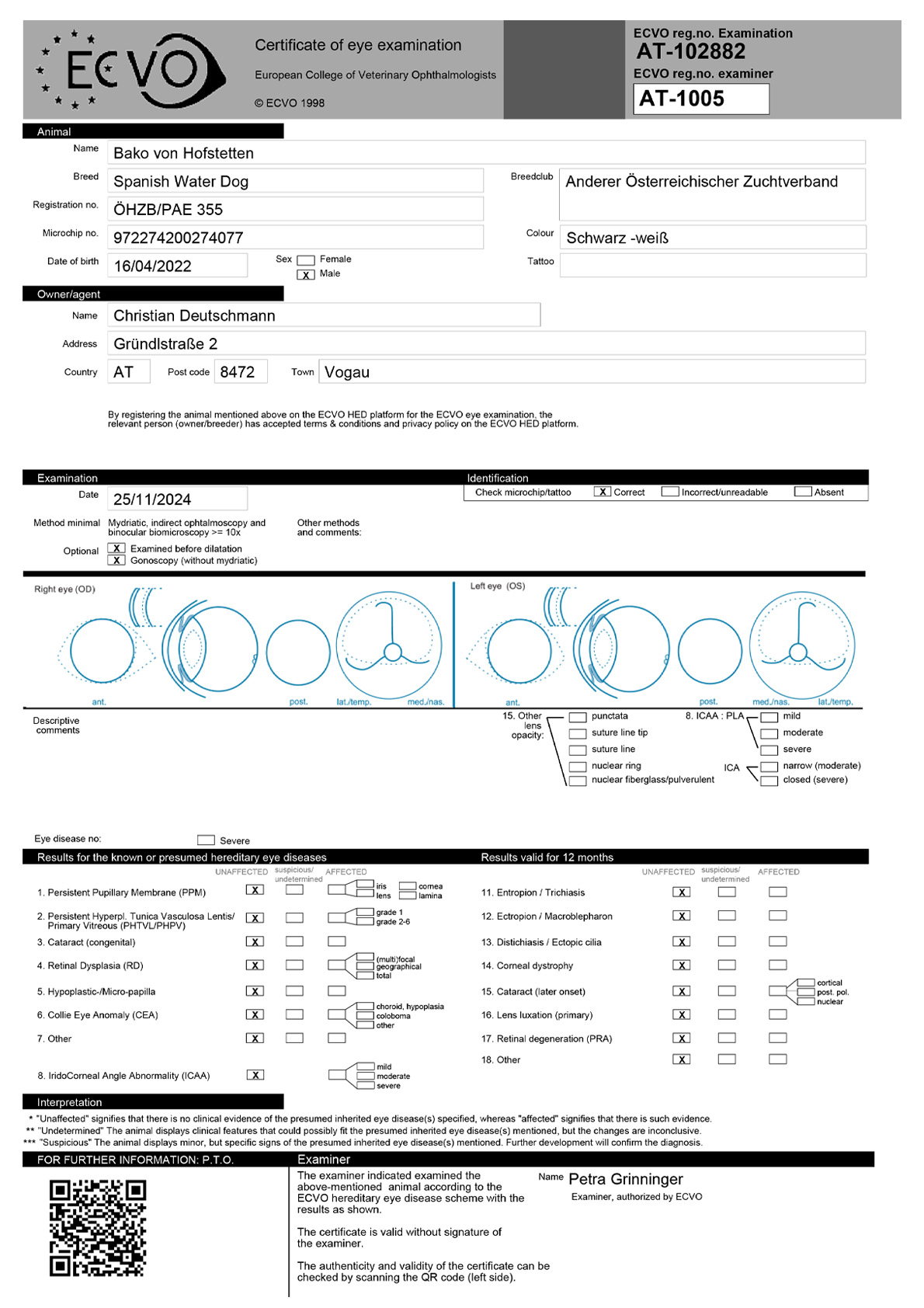 ECVO-Certificate-Bako-Zertifikat-Augen-Spanischer-Wasserhund ECVO-Certificate-Bako-Zertifikat-Augen-Spanischer-Wasserhund