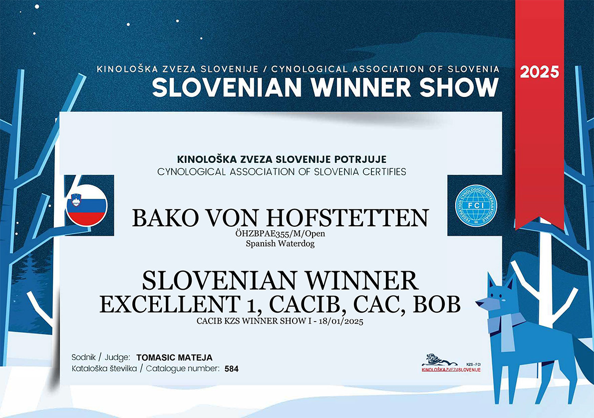 Hundeausstellung-CACIB-KZS-Winner-Show-1a Hundeausstellung-CACIB-KZS-Winner-Show-1