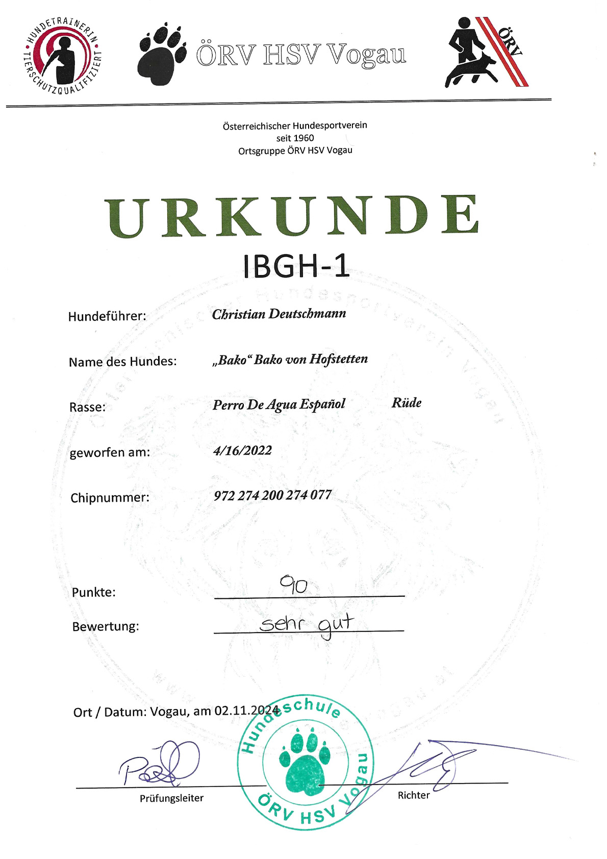 IBGH1-Begleithundeprüfung1-Bako-Spanischer-Wasserhund IBGH1-Begleithundeprüfung1-Bako-Spanischer-Wasserhund